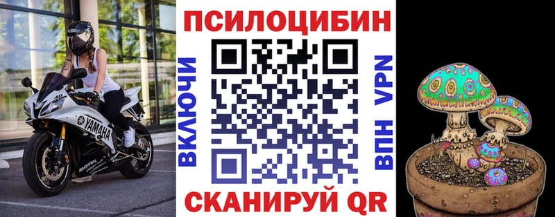что такое наркотик  Тейково  OMG   Галлюциногенные грибы GOLDEN TEACHER 